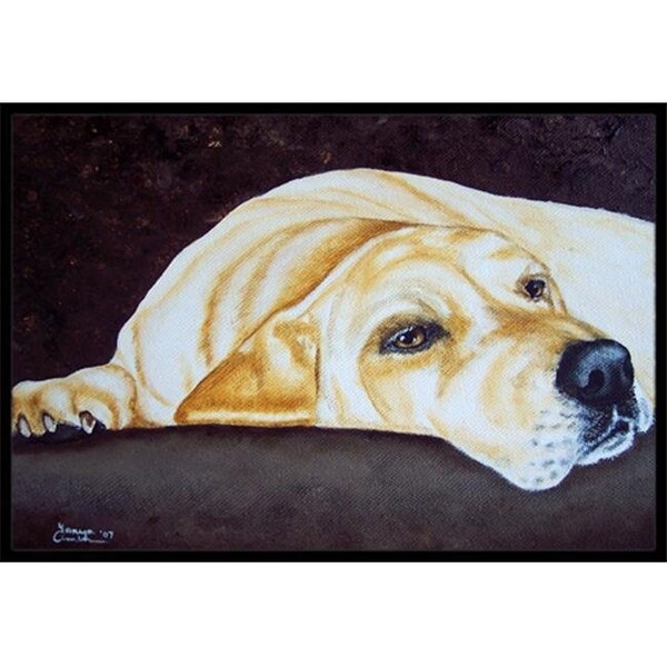Carolines Treasures AMB1072MAT Naptime Yellow Labrador Indoor or Outdoor Mat; 18 x 27 AMB1072MAT - main